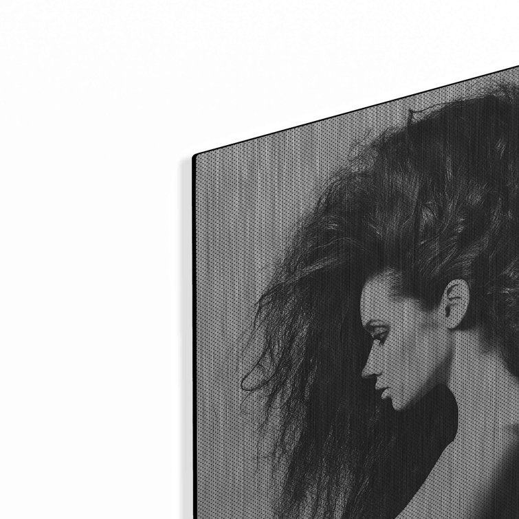 Mercer41 " Poof " by Incado Painting Print on Metal Wayfair Canada